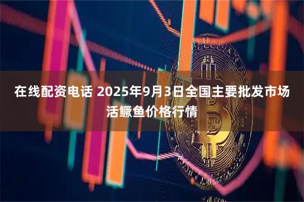 在线配资电话 2025年9月3日全国主要批发市场活鳜鱼价格行情